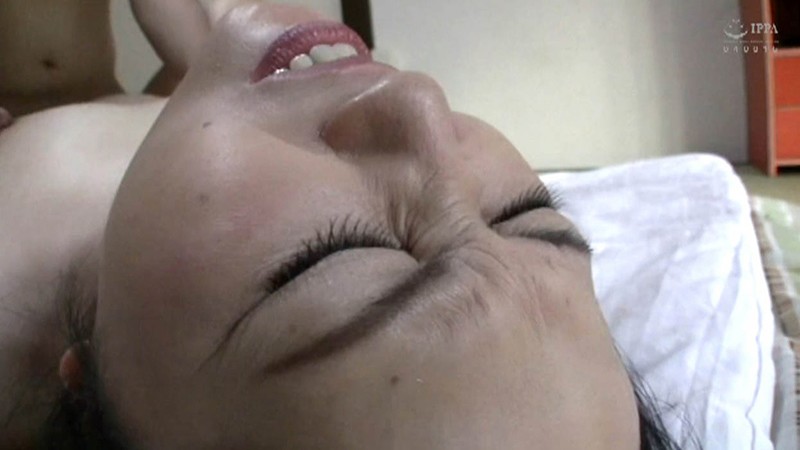 サンプル画像 11