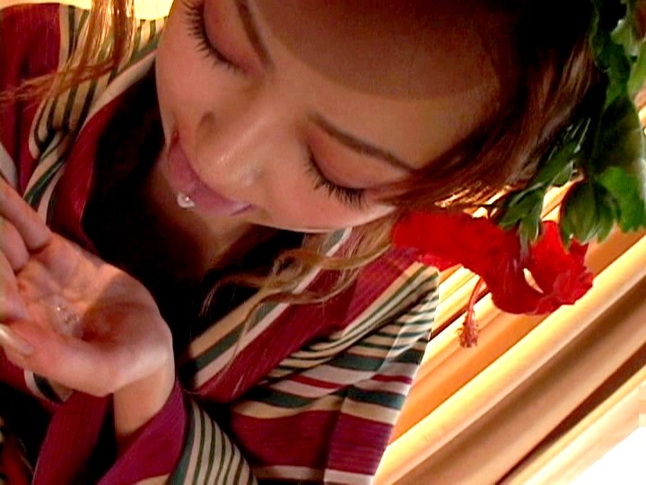 サンプル画像 5