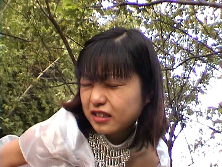 サンプル画像 3