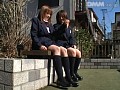 サンプル画像 12
