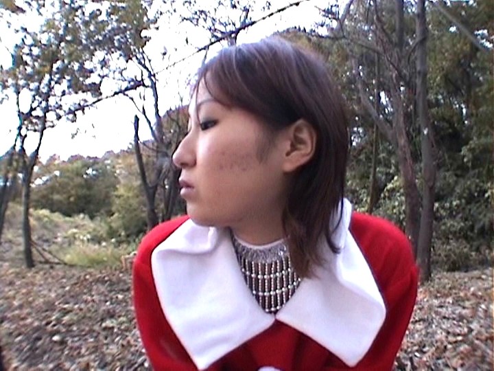 サンプル画像 14