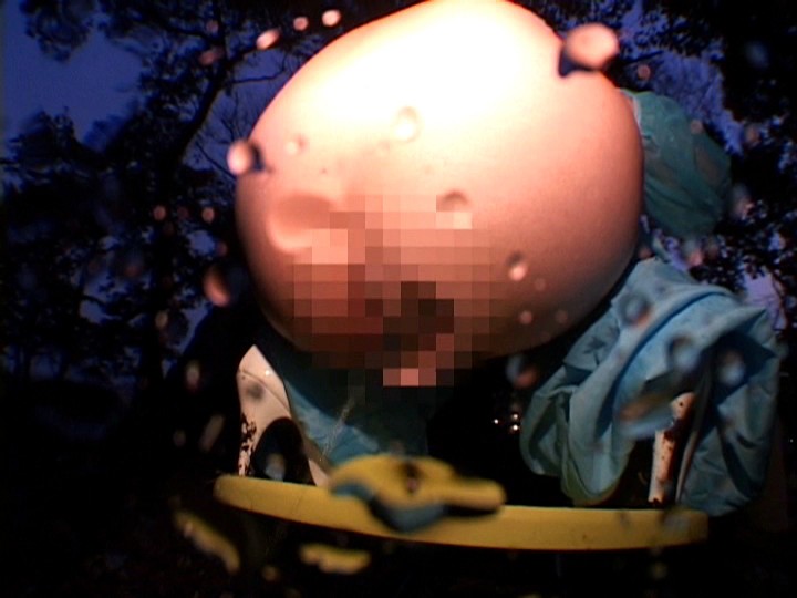 サンプル画像 14