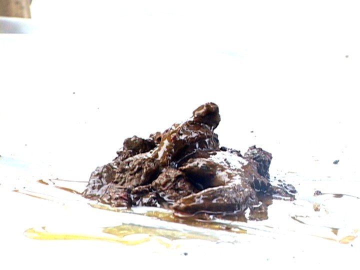 サンプル画像 8