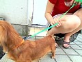 サンプル画像 9