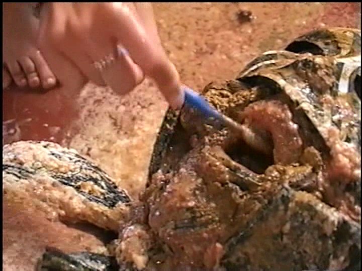 サンプル画像 15