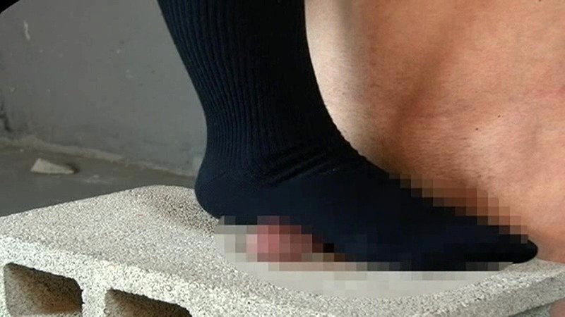 サンプル画像 13