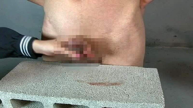 サンプル画像 14