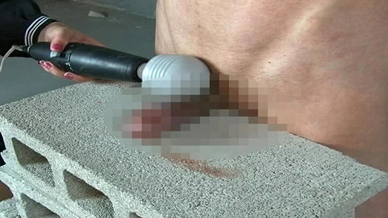 サンプル画像 15