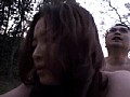サンプル画像 37