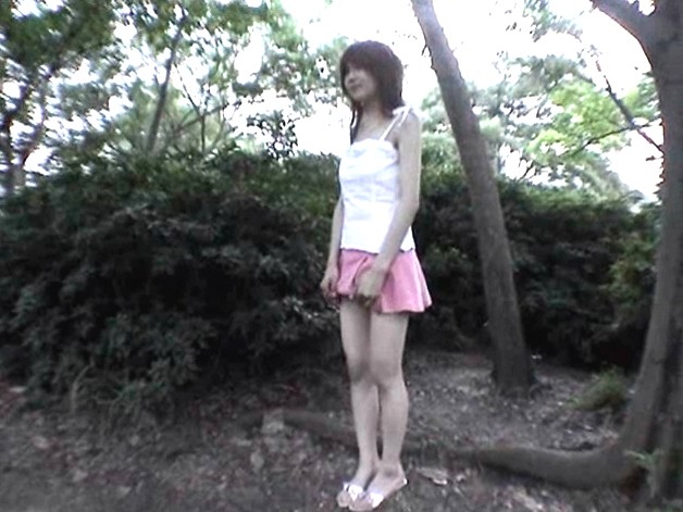 サンプル画像 5