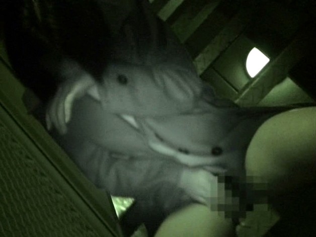 サンプル画像 21