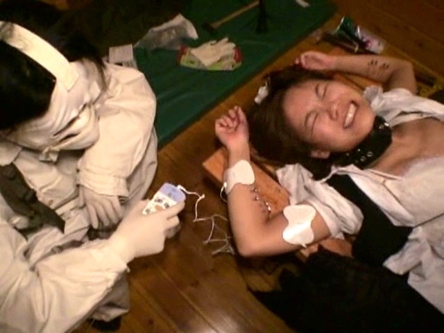 サンプル画像 19