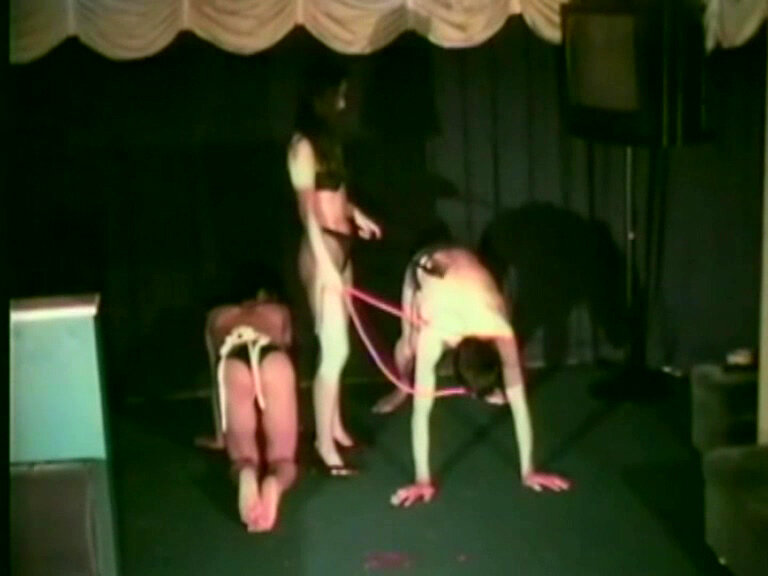 サンプル画像 16