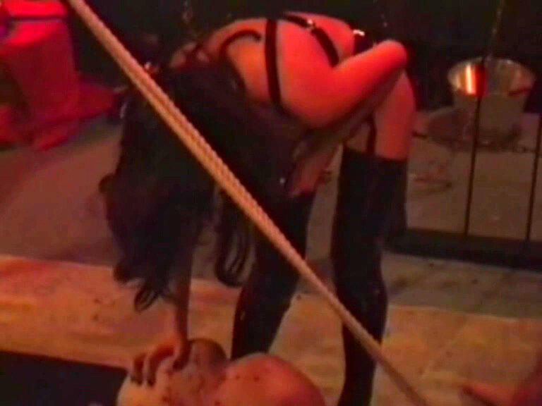 サンプル画像 14