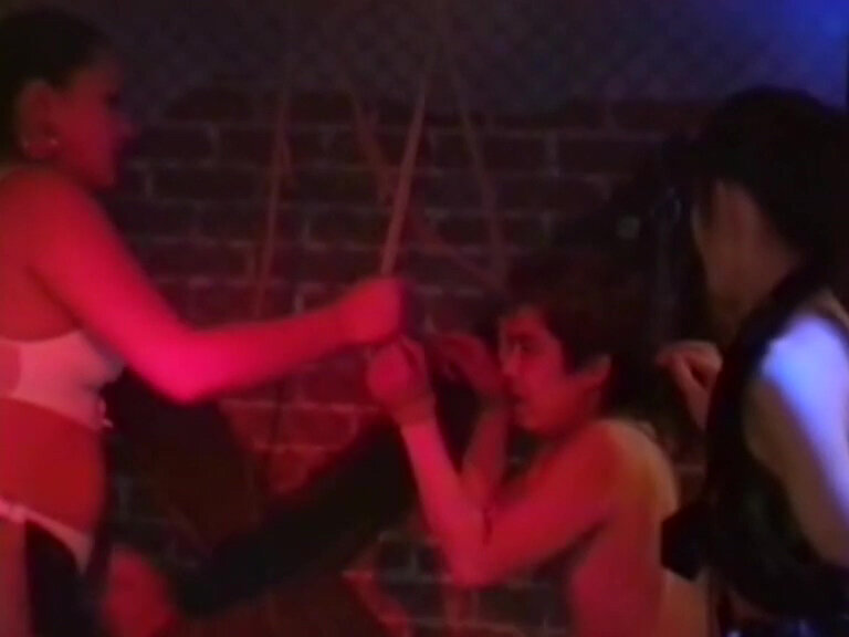 サンプル画像 11