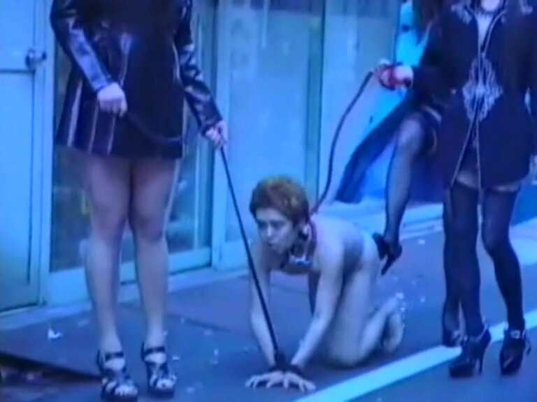 サンプル画像 18