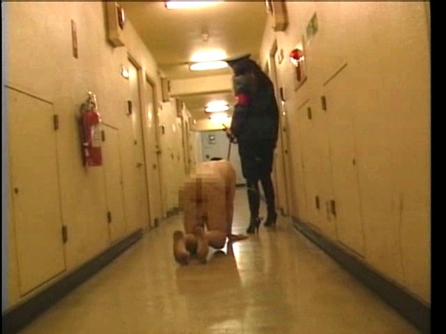 サンプル画像 4