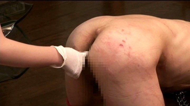 サンプル画像 3