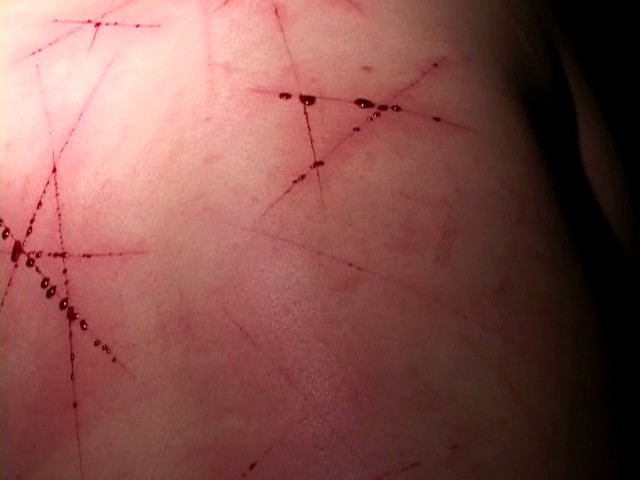 サンプル画像 14