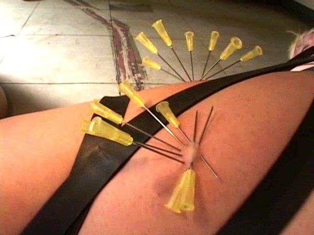 サンプル画像 3