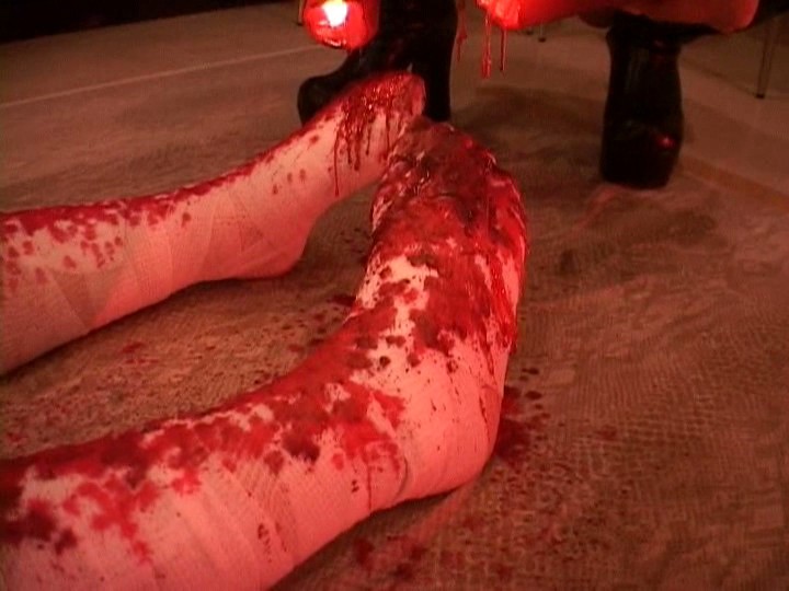 サンプル画像 12