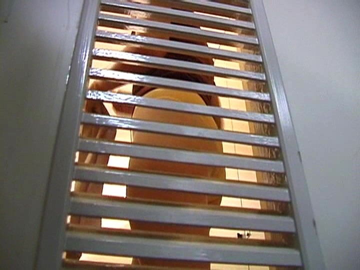 サンプル画像 8
