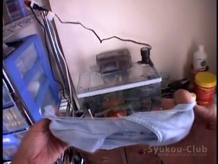 サンプル画像 20