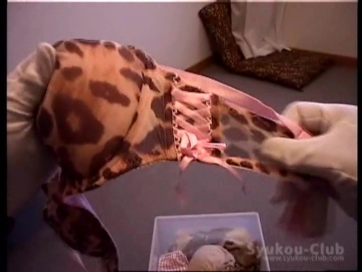 サンプル画像 19