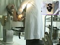 サンプル画像 25