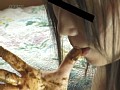 サンプル画像 22