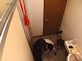 サンプル画像 22