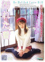 パッケージ画像