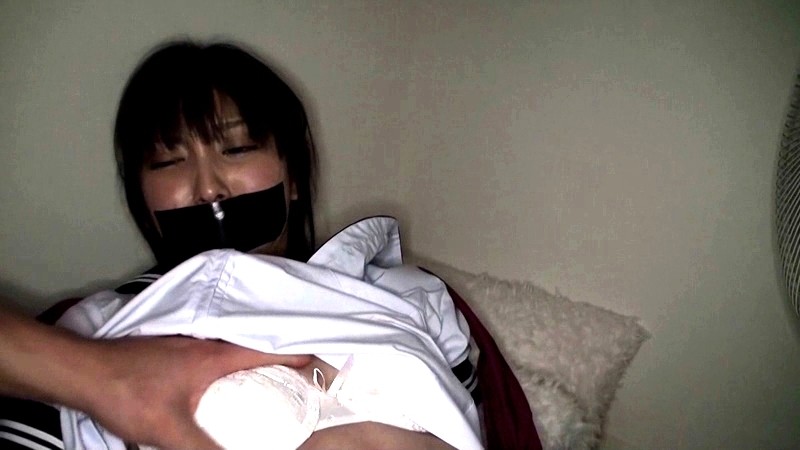 サンプル画像 3