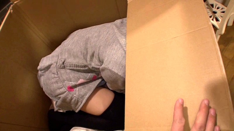 サンプル画像 9