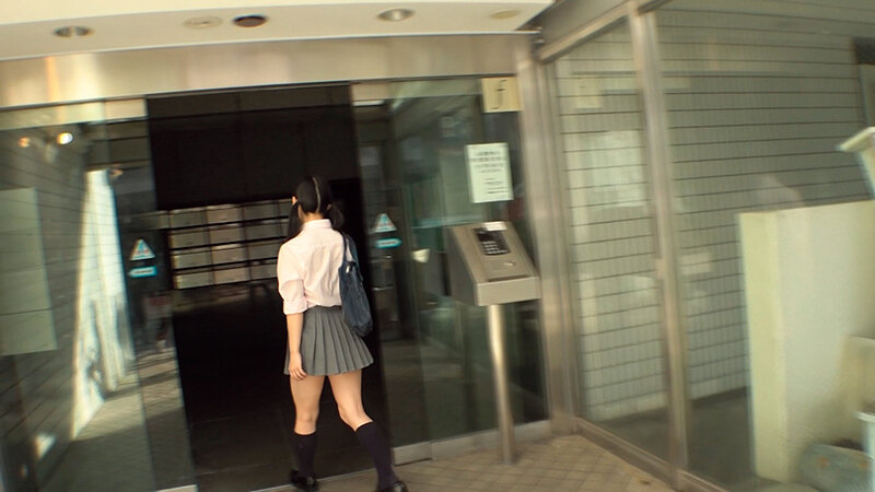 サンプル画像 12