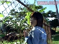 サンプル画像 32