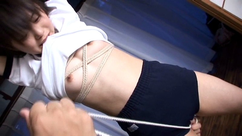 サンプル画像 11