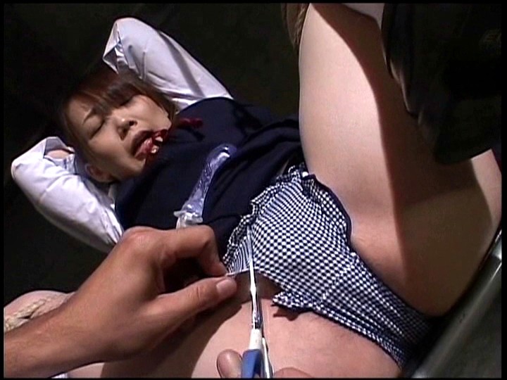 サンプル画像 12