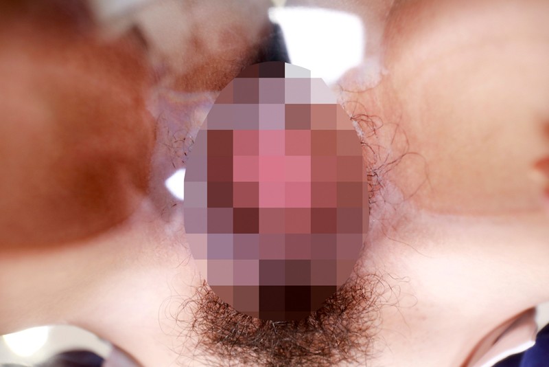 サンプル画像 8