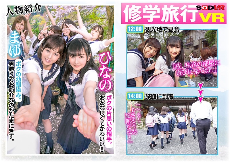 サンプル画像 3