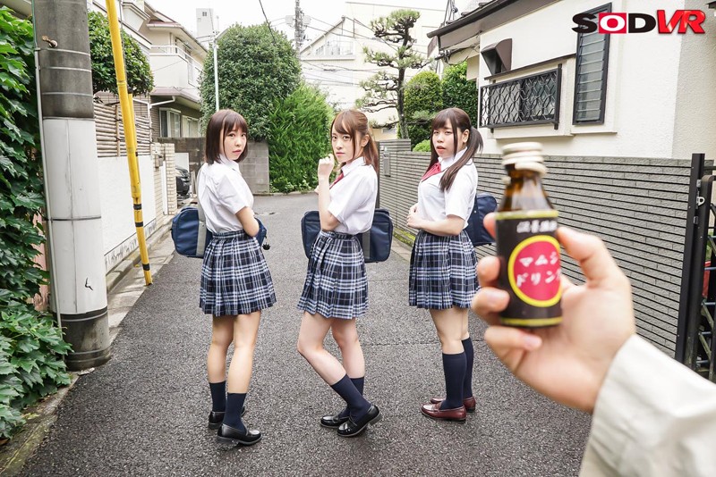 サンプル画像 8