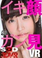 パッケージ画像