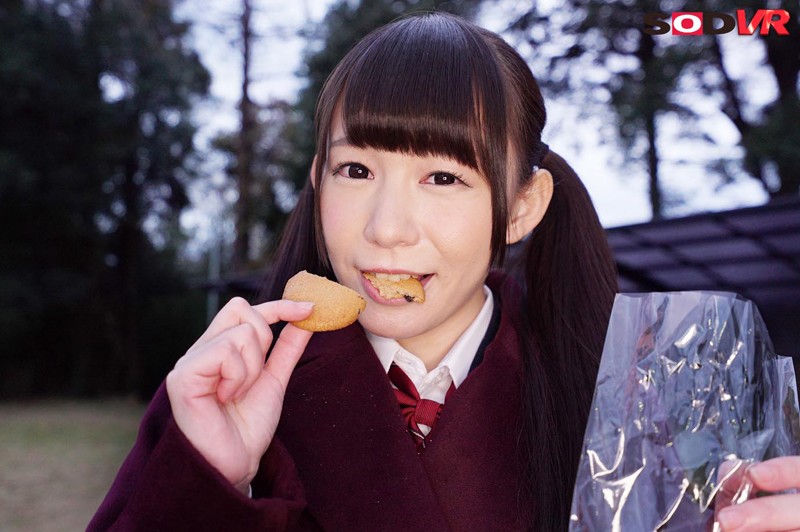 サンプル画像 5