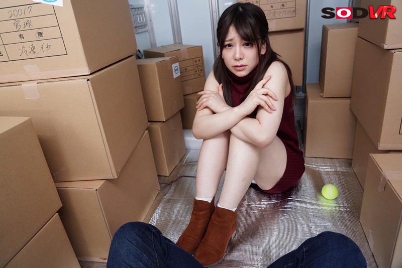 サンプル画像 6