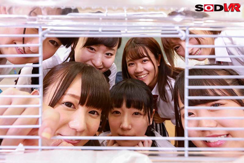 サンプル画像 14