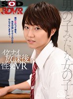 パッケージ画像