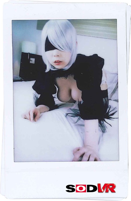 サンプル画像 19