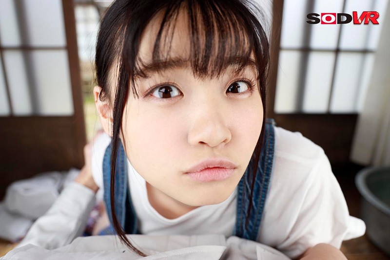 サンプル画像 4