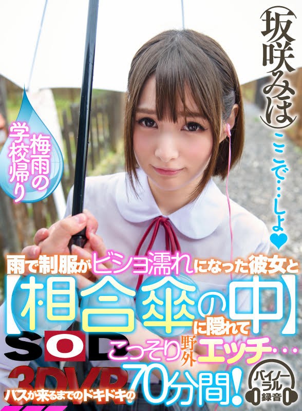 サンプル画像 12