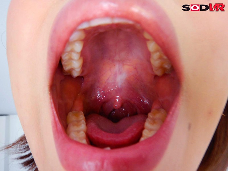 サンプル画像 12